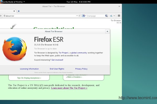 Как через тор браузер зайти в даркнет